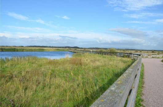 Saltmarshes & Mudflats