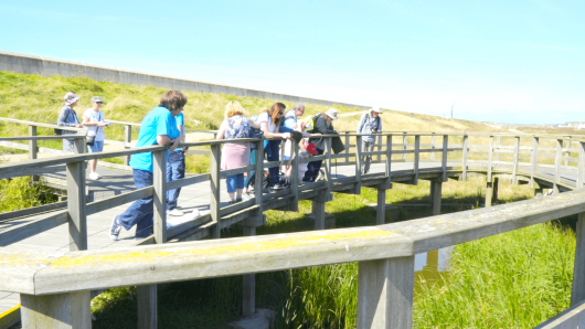 Walking from Rossall Point